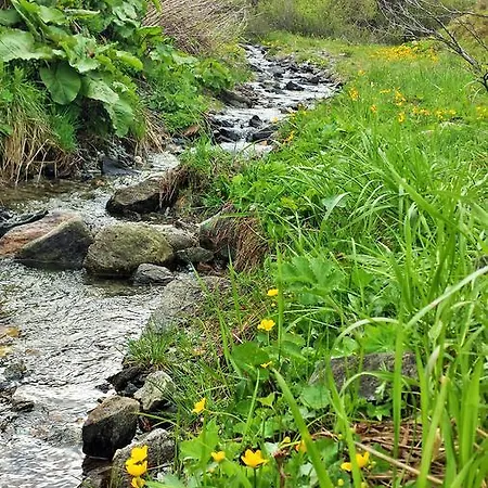Fruehstueckpension Larson Oda ve Kahvaltı Bad Hofgastein