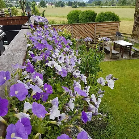 Fruehstueckpension Larson 4*