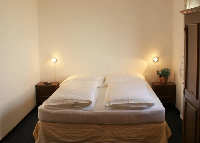 住宿加早餐酒店 Fruehstueckpension Larson 4*