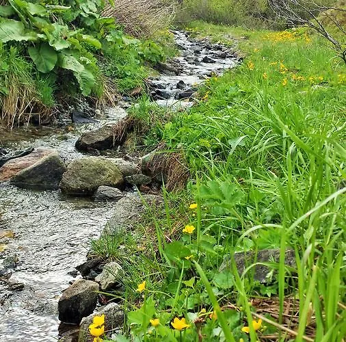 Fruehstueckpension Larson 住宿加早餐酒店 巴特霍夫加施泰因